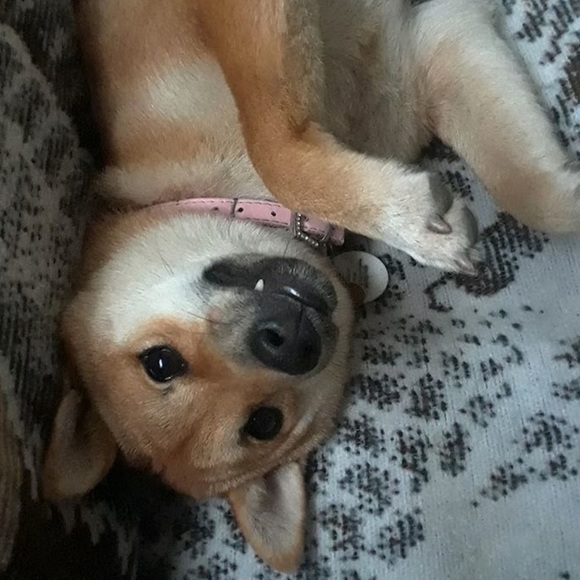 Meet your Posher, Naomi - Picture 1 of 1